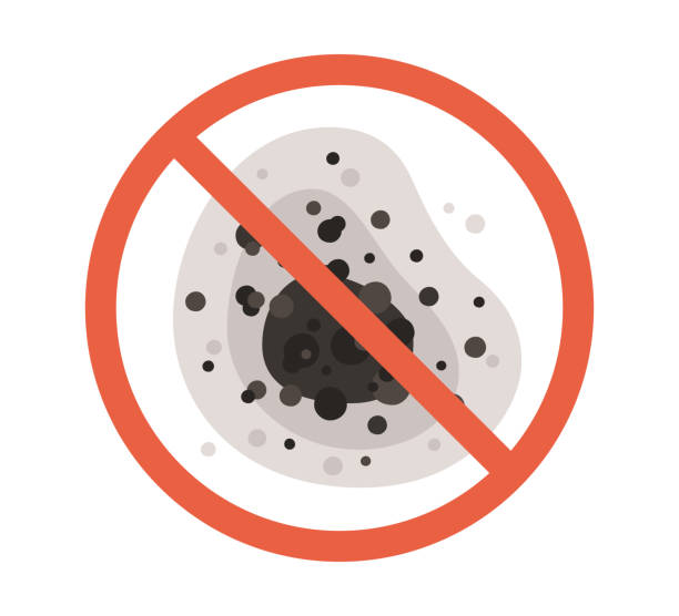 Best Biohazard Mold Removal  in Bloomfield, IN